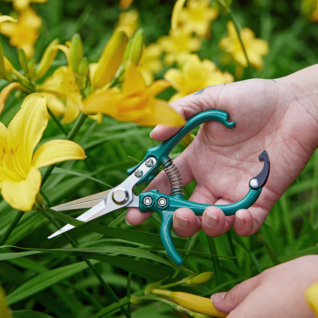 Modern Sprout - New Colors! Garden Shears