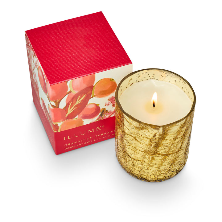 Cranberry Currant Small Boxed Crackle