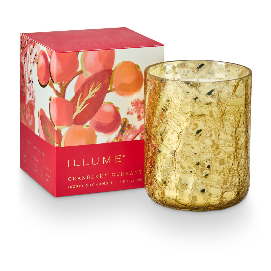 Cranberry Currant Small Boxed Crackle
