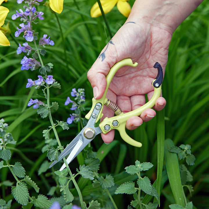 Modern Sprout - New Colors! Garden Shears