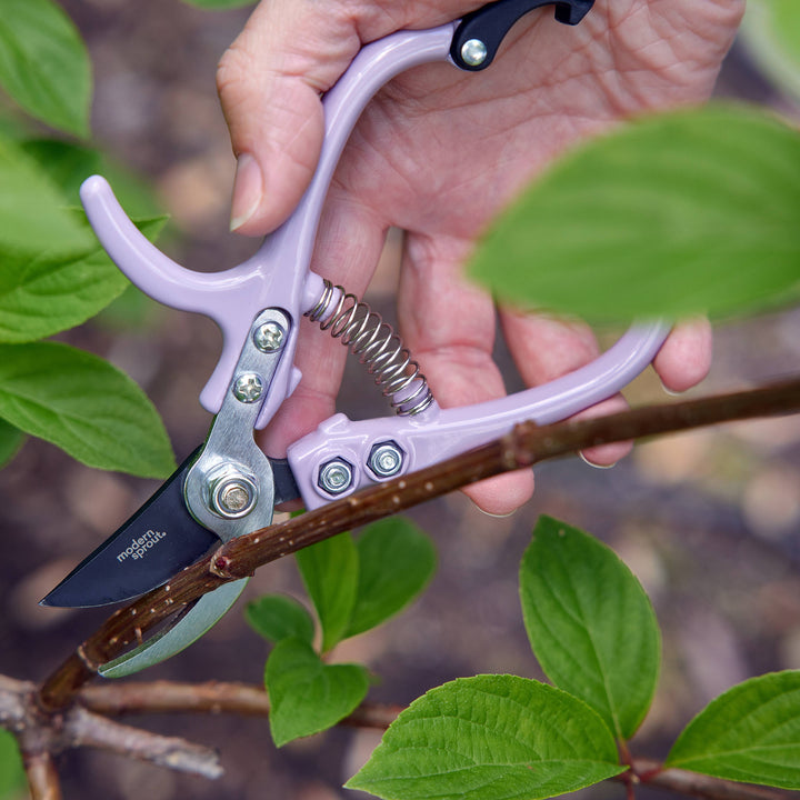 Modern Sprout - New Colors! Garden Pruners