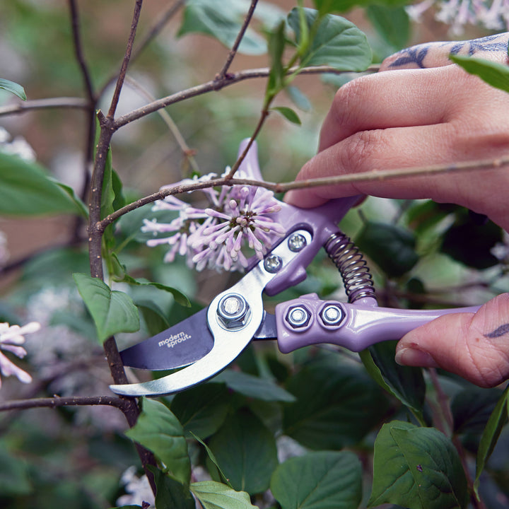 Modern Sprout - New Colors! Garden Pruners