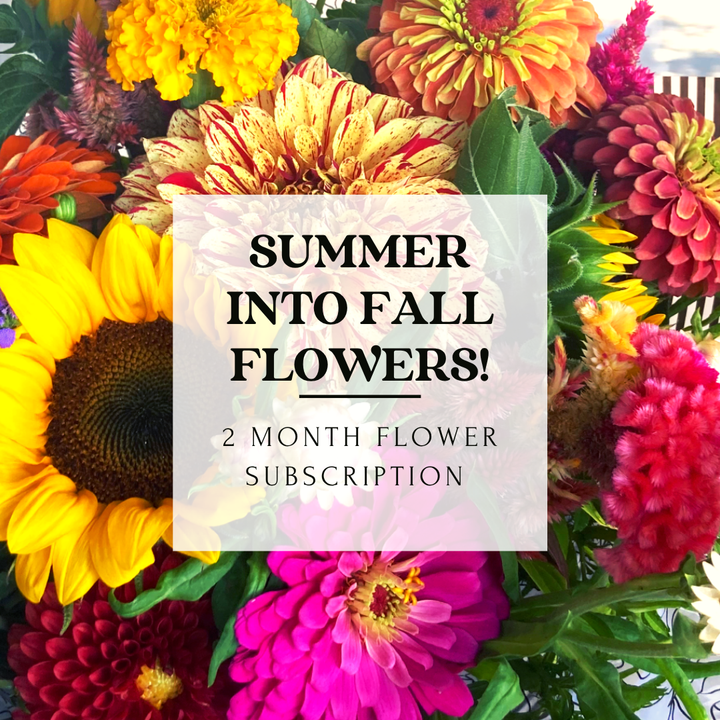 Summer into Fall Flower Subscription (4 Bouquets)