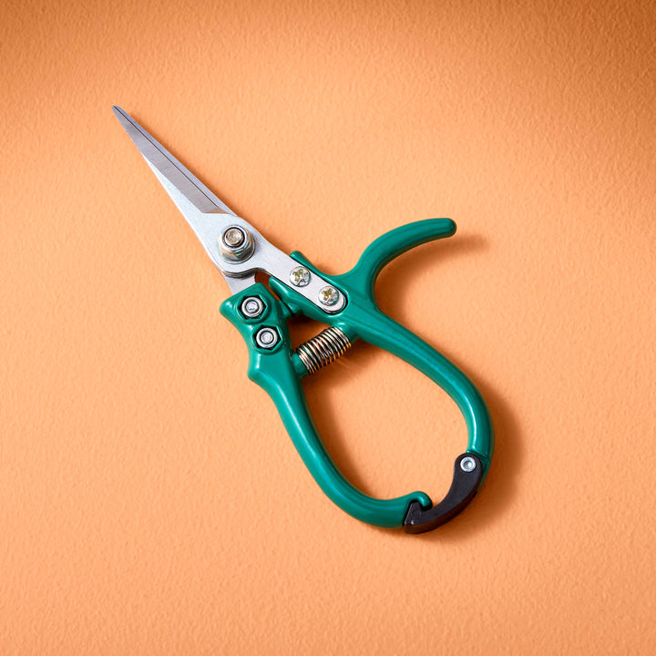 Modern Sprout - New Colors! Garden Shears