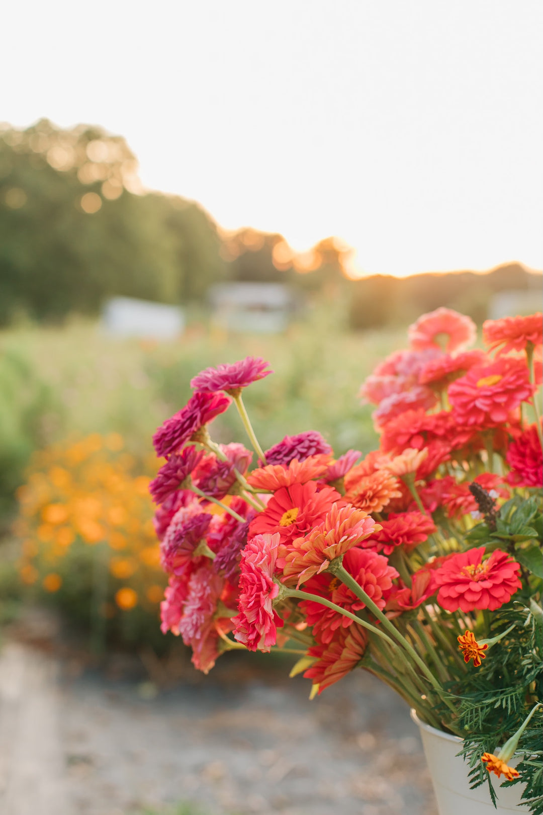 Gather & Flower - An evening on the Farm + Floral Arranging Workshop