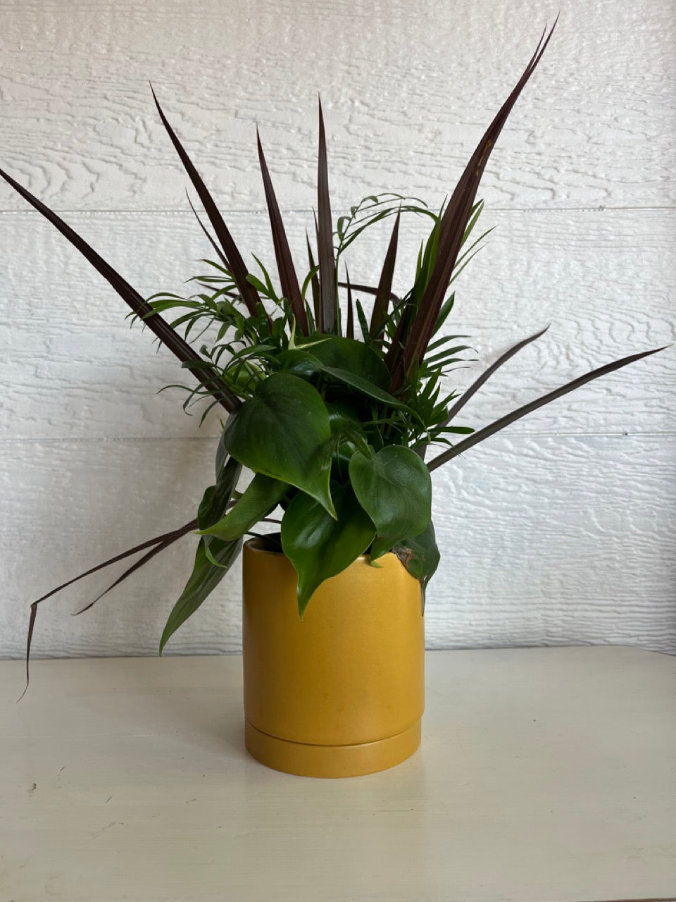 Combo Houseplant pot from Bel Fiore Co KC Florist