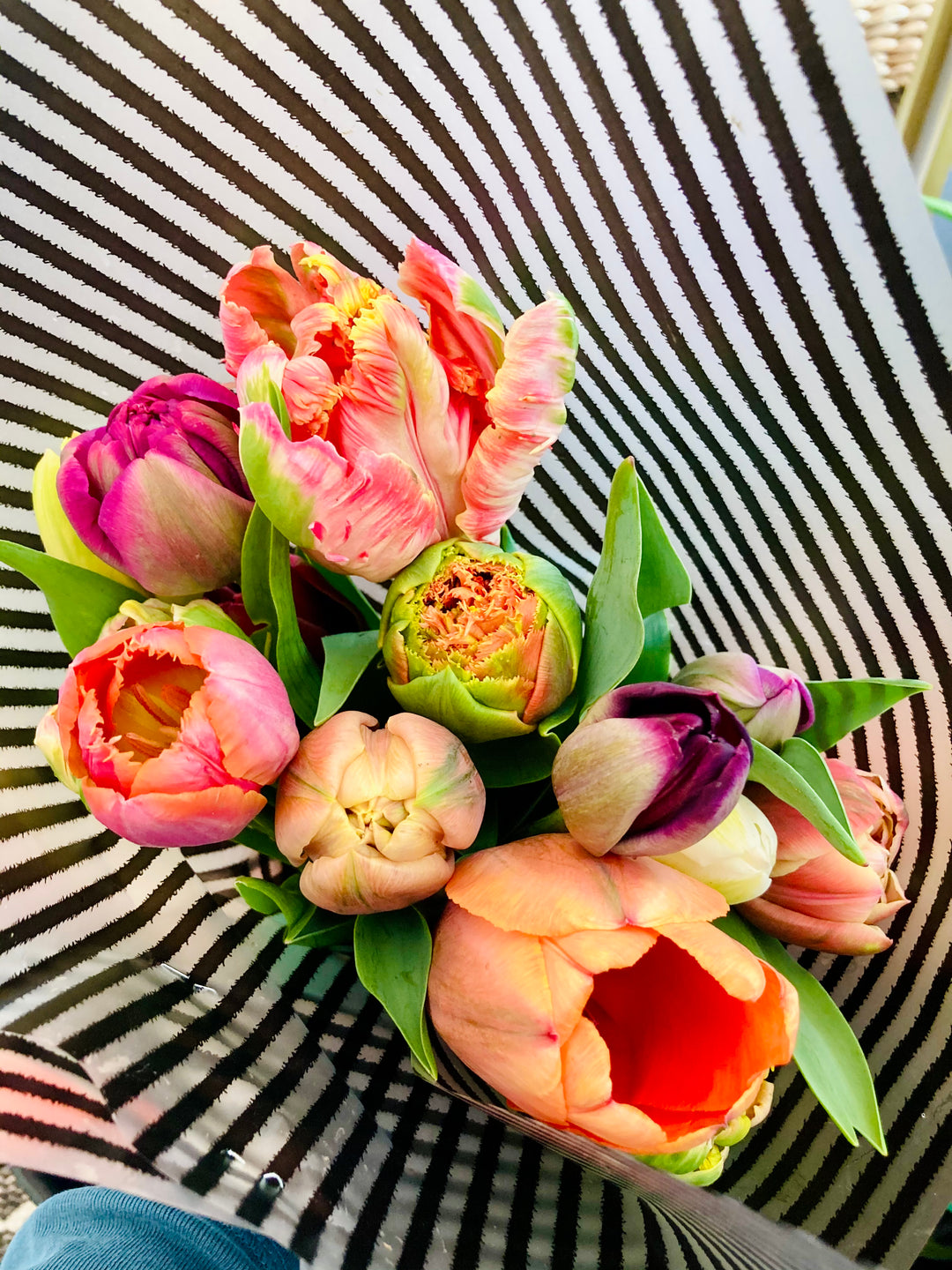 Tulip Bundle Lee's Summit Bel Fiore