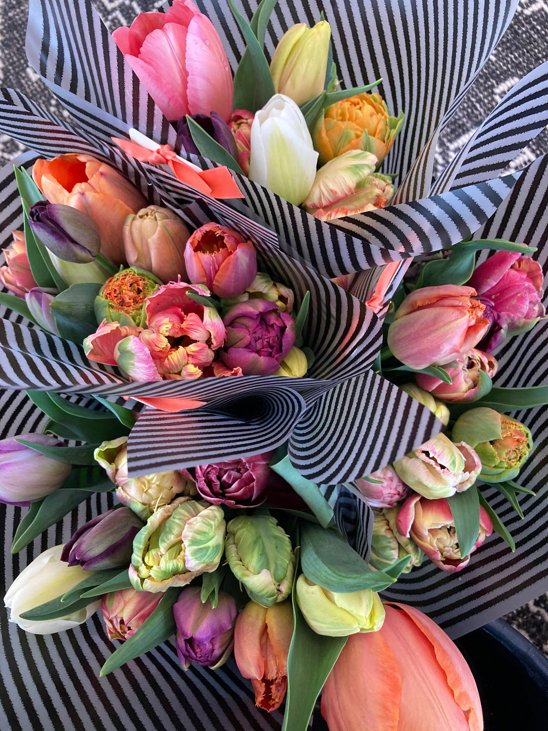 Tulip Bundle Lee's Summit Bel Fiore