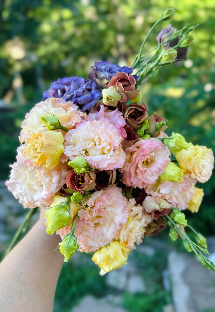 Local Lisianthus Kansas City Flower Shop