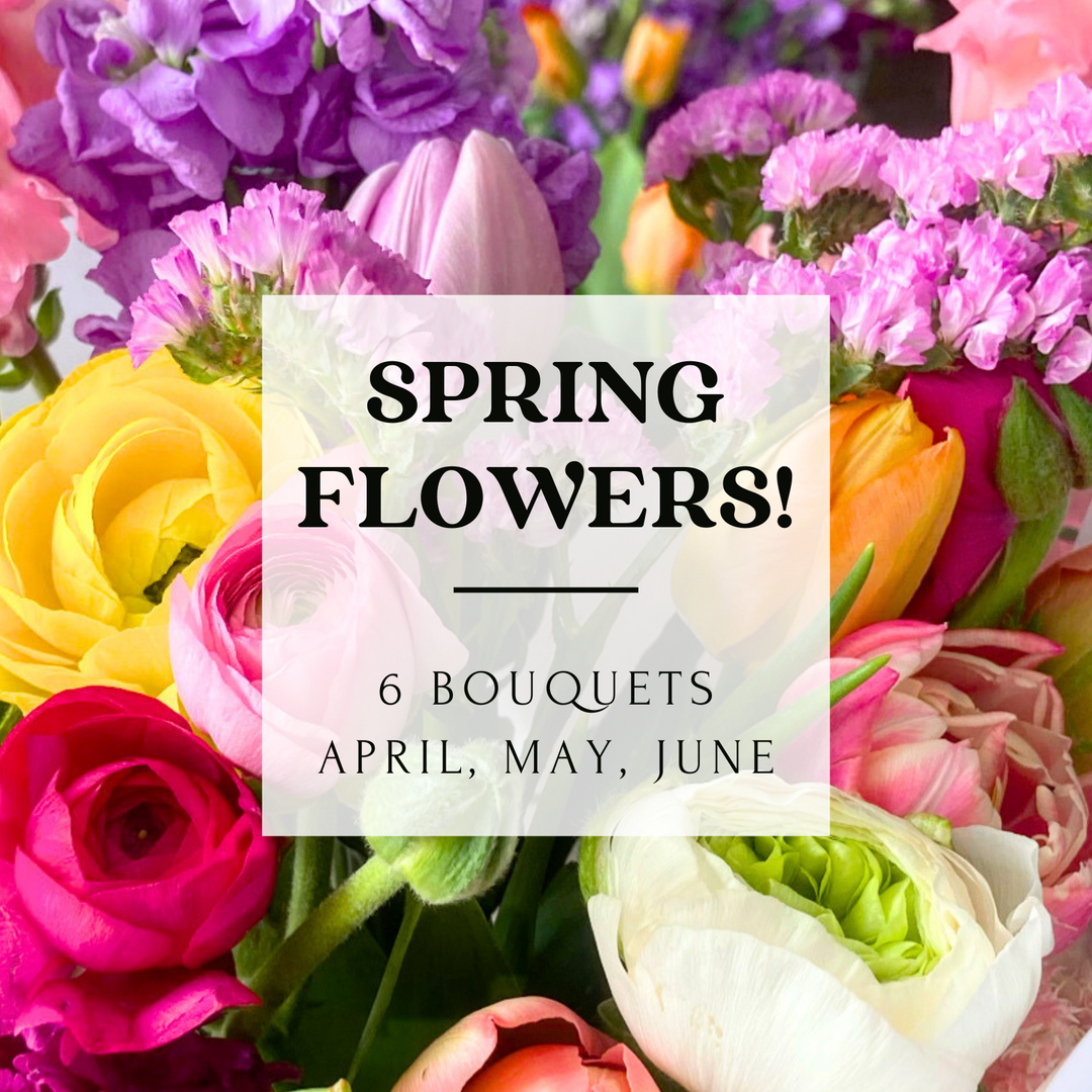 Spring Subscribe Spring Flower Subscription (6 Bouquets) – Bel Fiore Co.