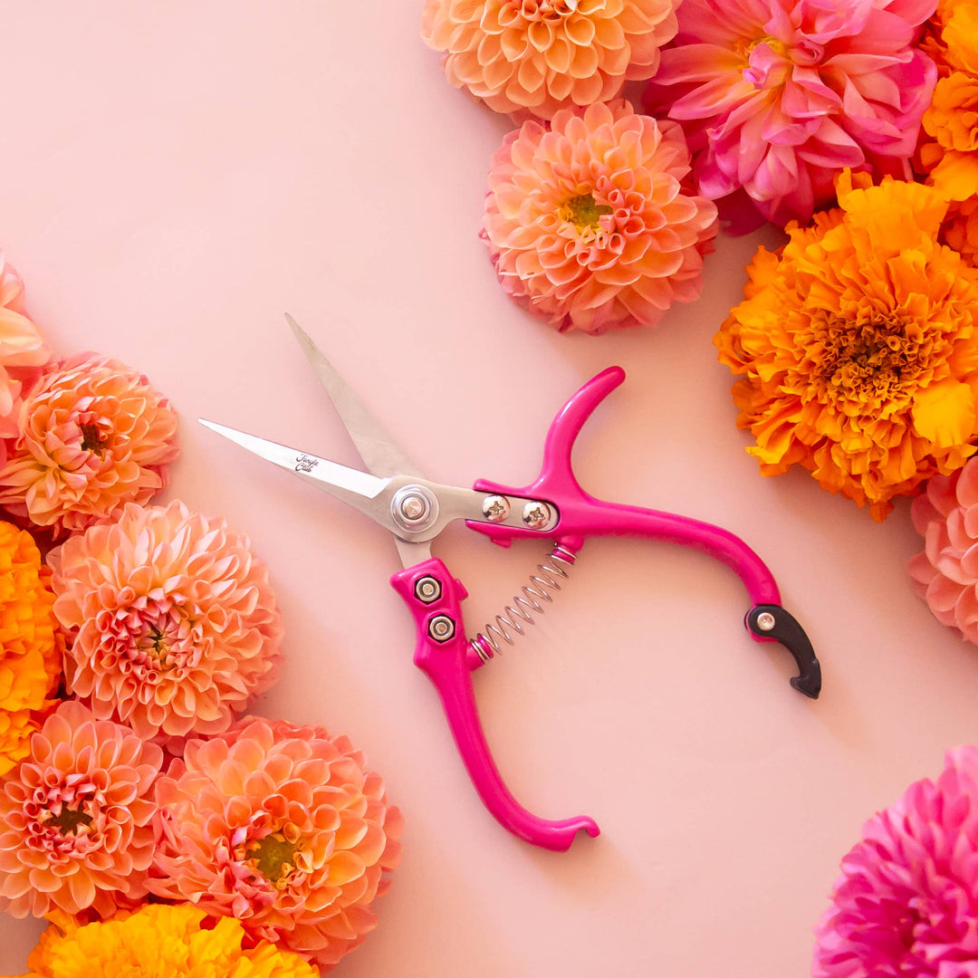 Jungle Club - Pruning Shears | Hibiscus