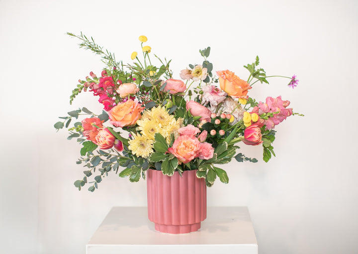The Sandra