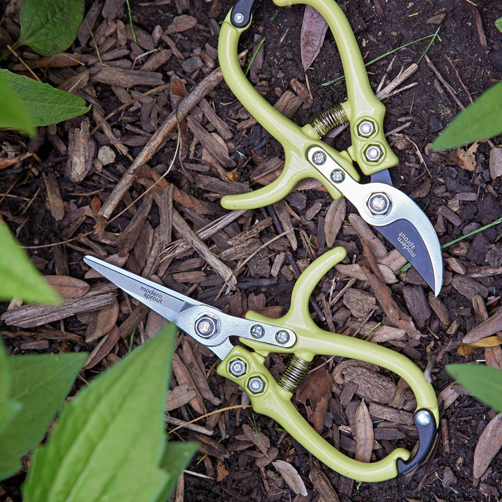 Modern Sprout - New Colors! Garden Shears