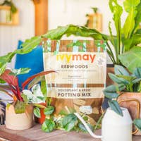 ivy potting mix Ivy May & Co Potting Mix