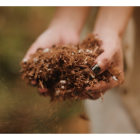 ivy may potting mix Ivy May & Co Potting Mix