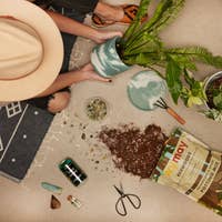 ivy may potting mix Ivy May & Co Potting Mix