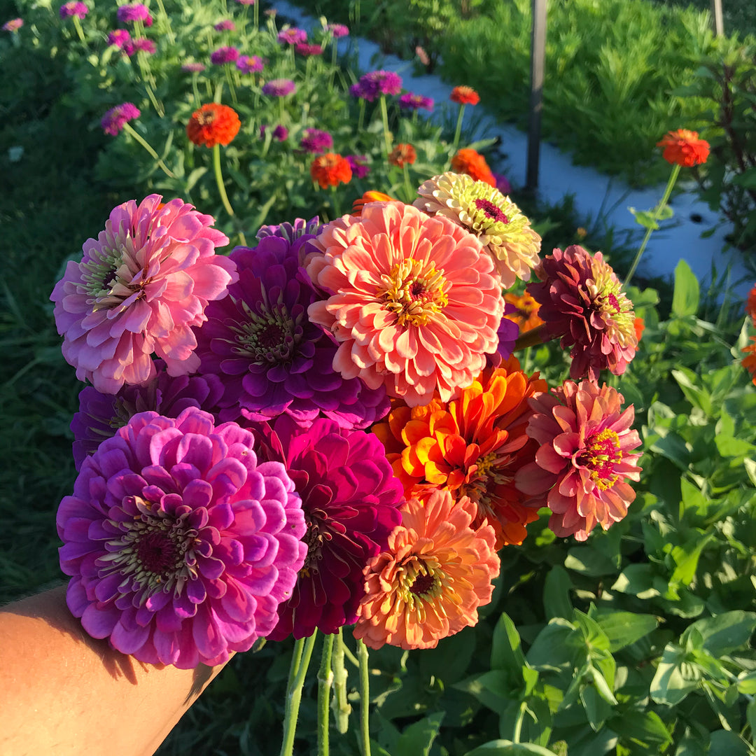 Spring Into Summer Local Flower Subscription (4 Bouquets)