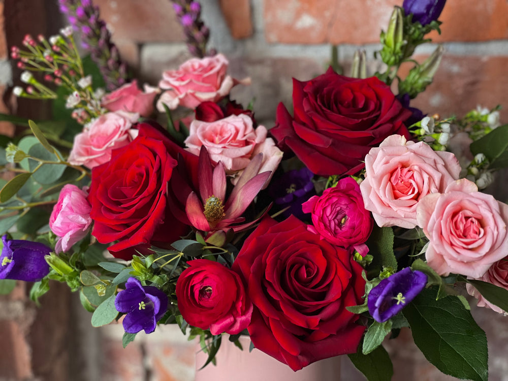 Kansas City Florist Valentine's Day Jewel Tones Roses Lee's Summit Flower Delivery