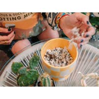 ivy may potting mix Ivy May & Co Potting Mix