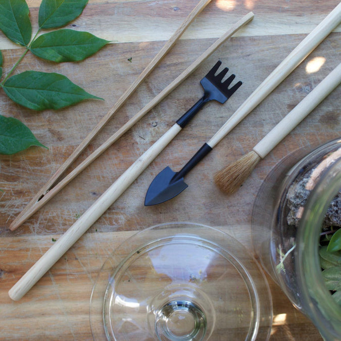 Terrarium Tool Kit