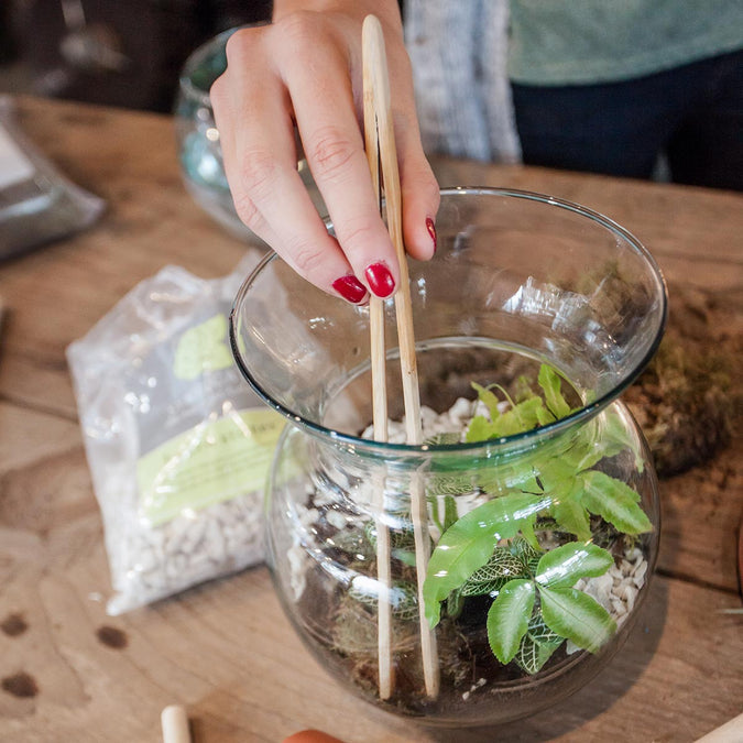 Terrarium Tool Kit